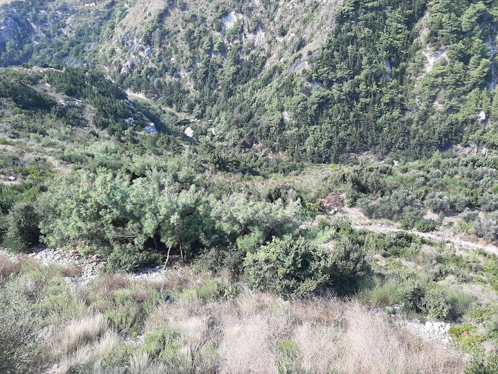 Yorum fotoğrafı 3