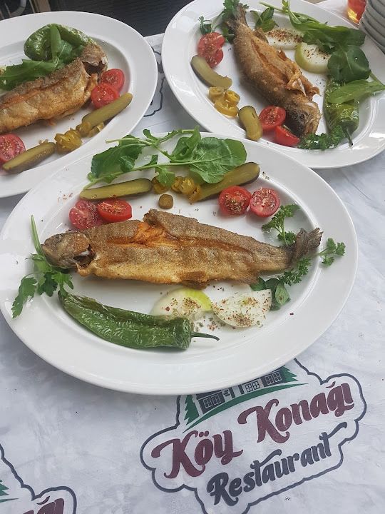 Fotoğraf 44