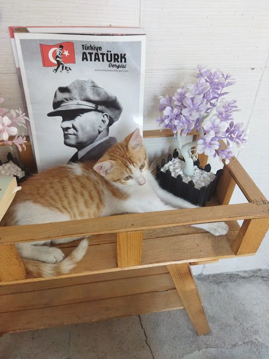 Fotoğraf 3