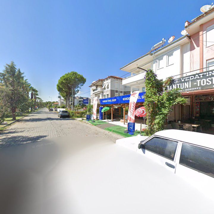 Fotoğraf 11