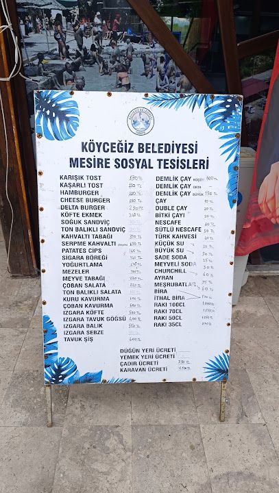 Fotoğraf 20