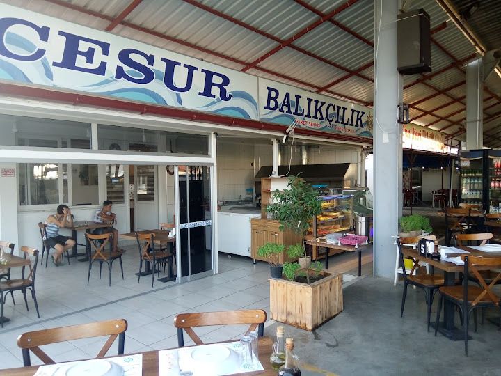 Cesur Balıkçılık