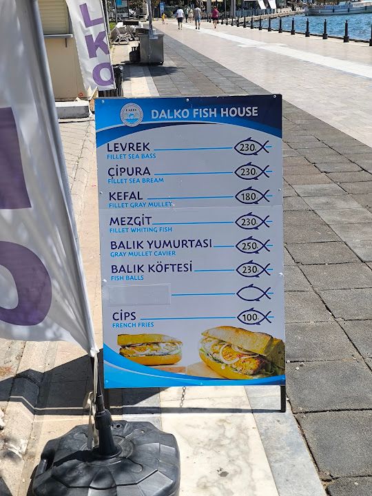 Fotoğraf 13