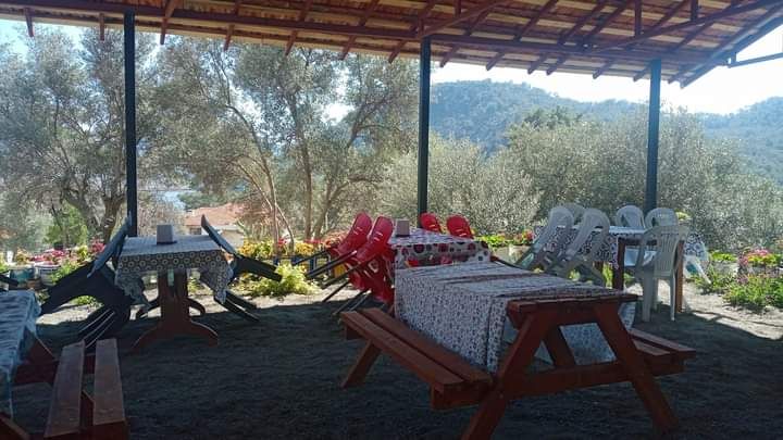 Doğa gözleme ve kahvaltı evi