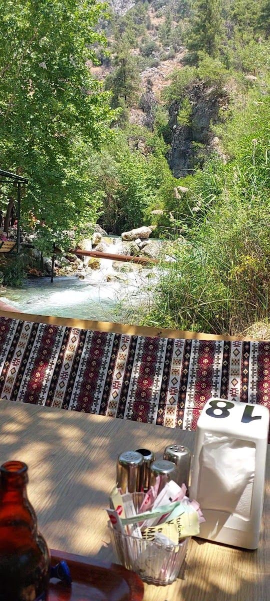 Fotoğraf 14