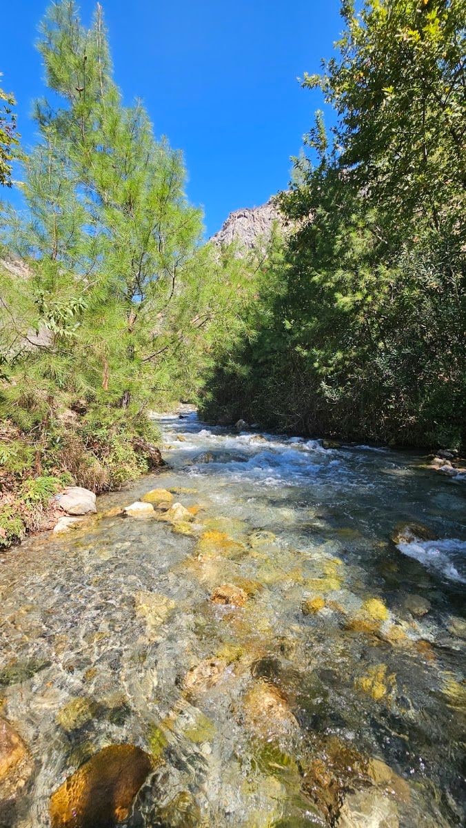 Fotoğraf 23