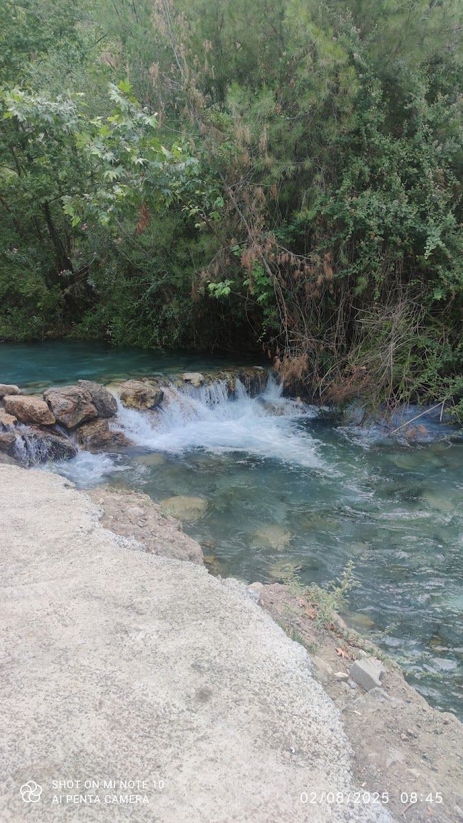 Fotoğraf 17