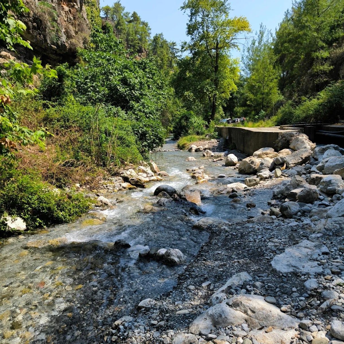Fotoğraf 21