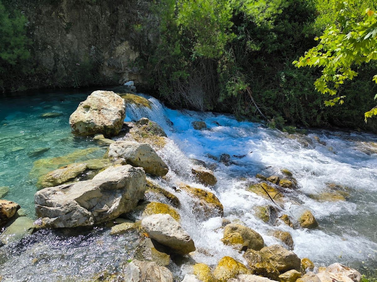 Fotoğraf 20