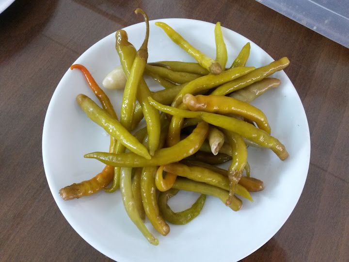 Fotoğraf 19