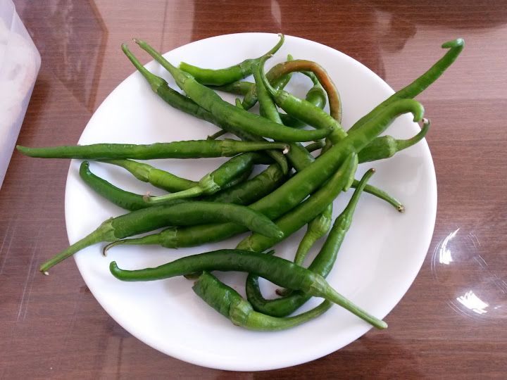 Fotoğraf 18