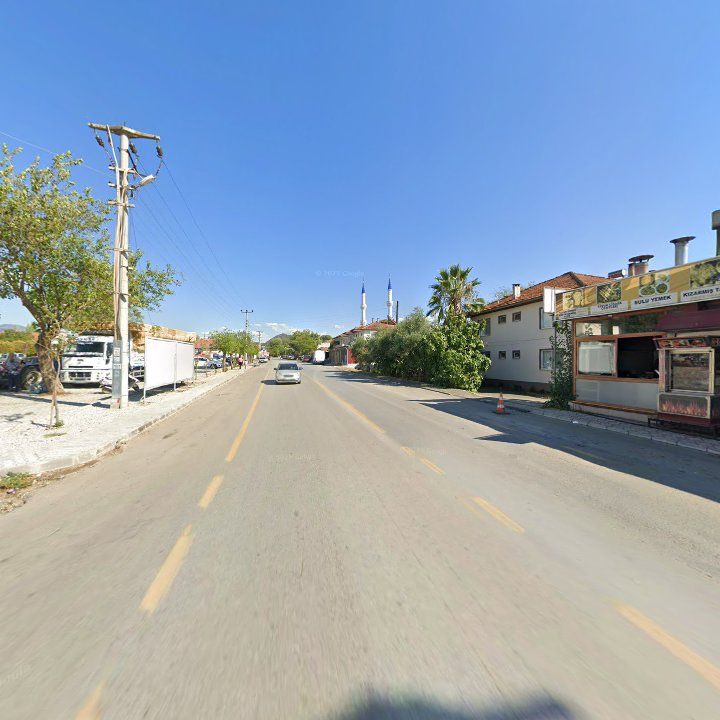 Fotoğraf 8