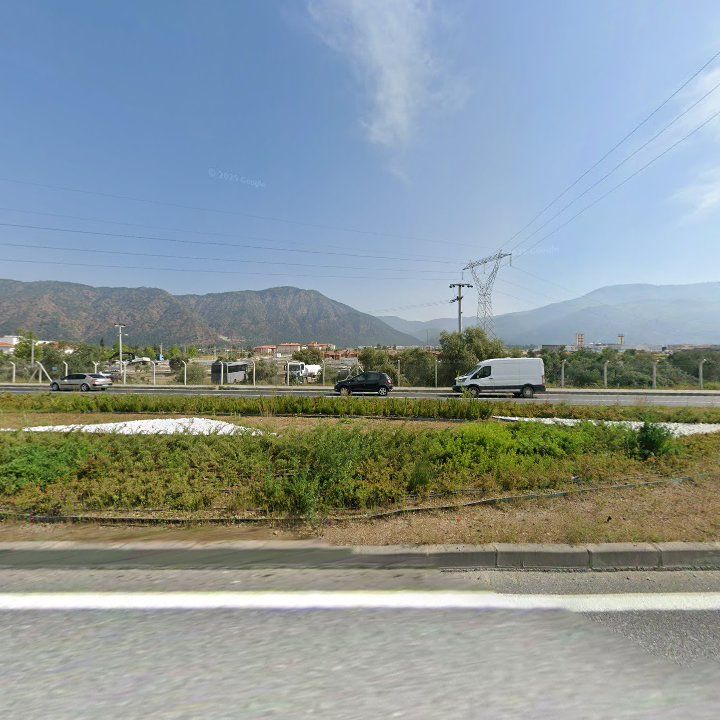 Fotoğraf 13