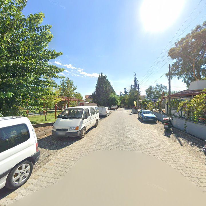 Fotoğraf 8