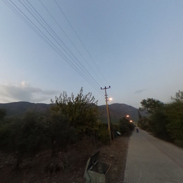 Fotoğraf 6