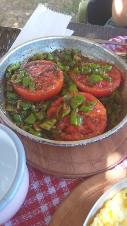 Fotoğraf 14
