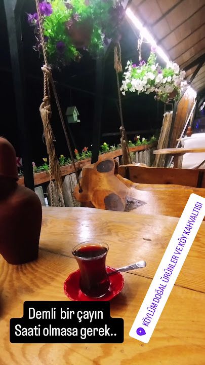 Fotoğraf 34