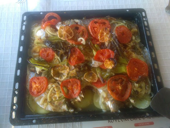 Fotoğraf 15