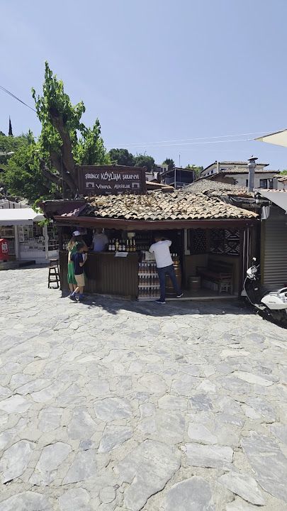 Fotoğraf 15