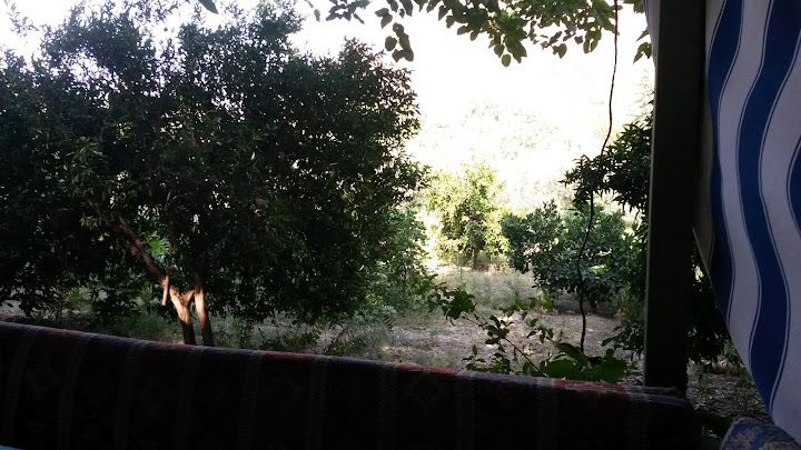 Fotoğraf 43
