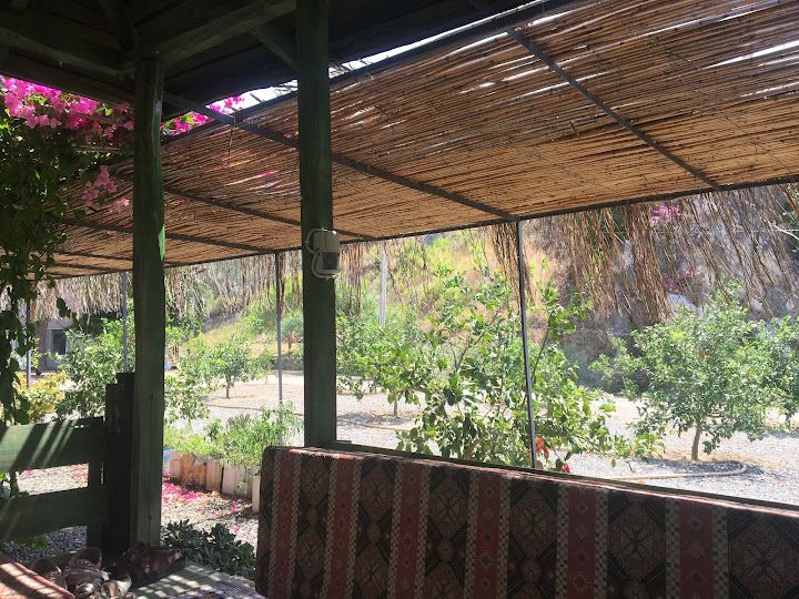 Yorum fotoğrafı 3