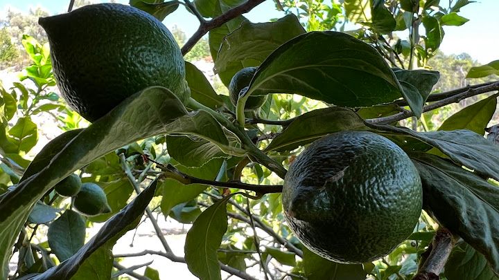 Yorum fotoğrafı 3