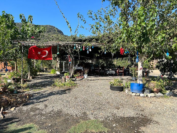 Yorum fotoğrafı 4
