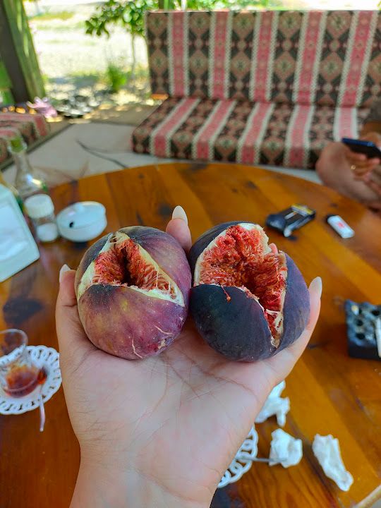 Yorum fotoğrafı 2