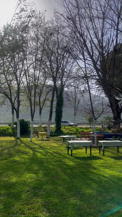 Fotoğraf 12