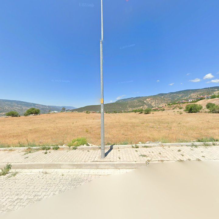 Fotoğraf 3