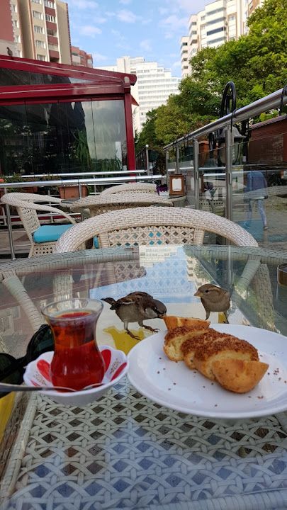 Fotoğraf 13