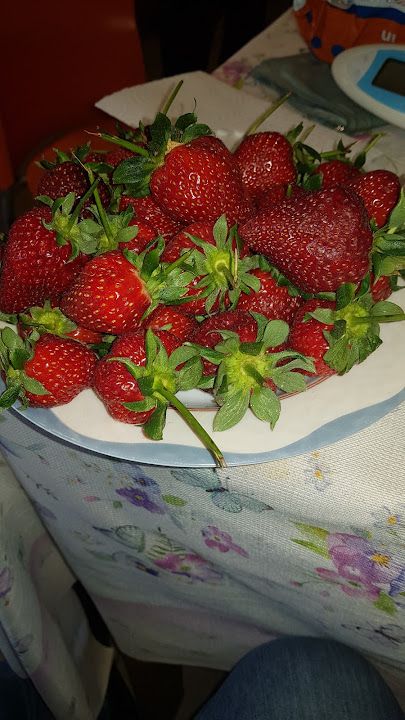 Fotoğraf 13