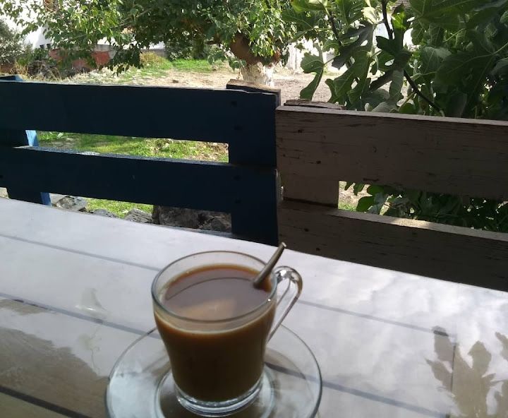 Fotoğraf 22