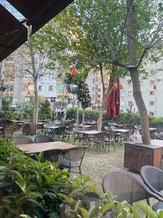 Fotoğraf 25