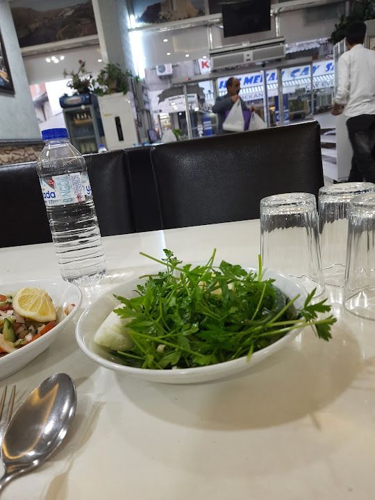 Fotoğraf 12