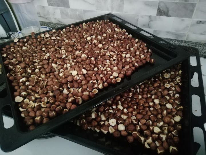 Fotoğraf 14