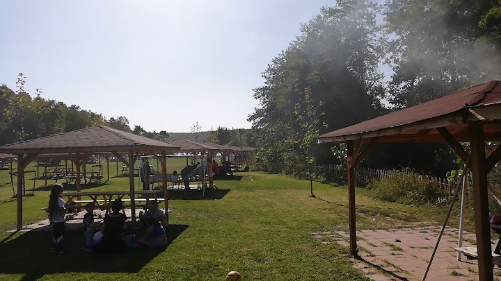 Fotoğraf 41
