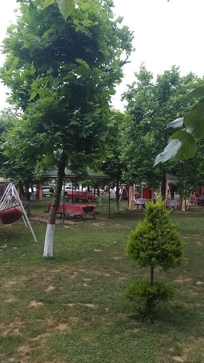 Fotoğraf 44