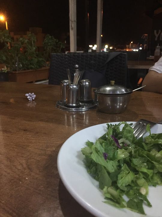 Fotoğraf 16