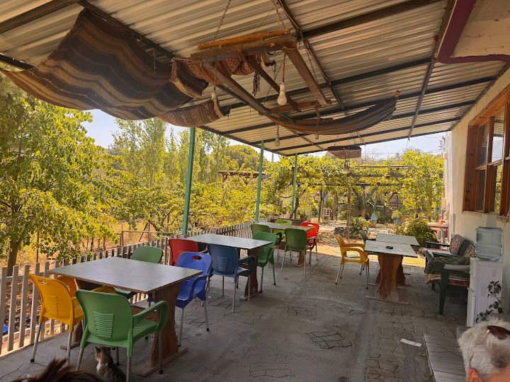 Fotoğraf 29