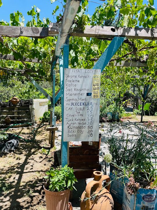 Fotoğraf 31