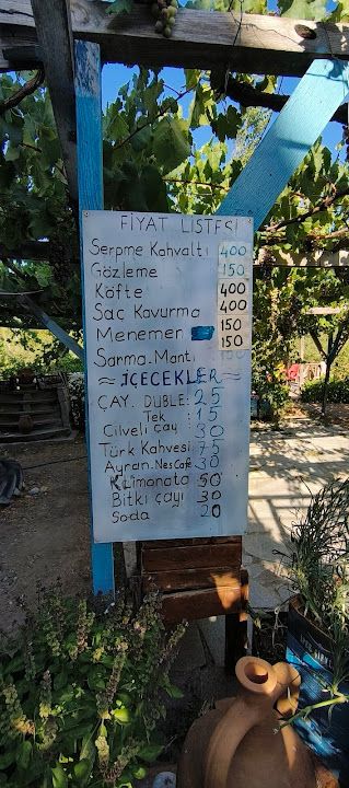 Fotoğraf 30