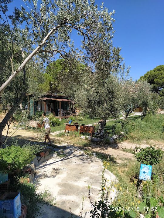 Yorum fotoğrafı 3