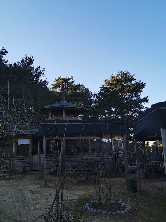 Yorum fotoğrafı 3