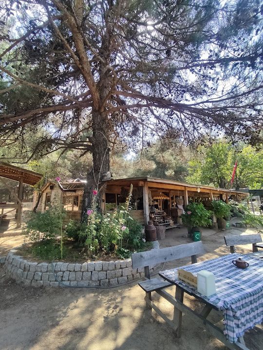 Yorum fotoğrafı 1