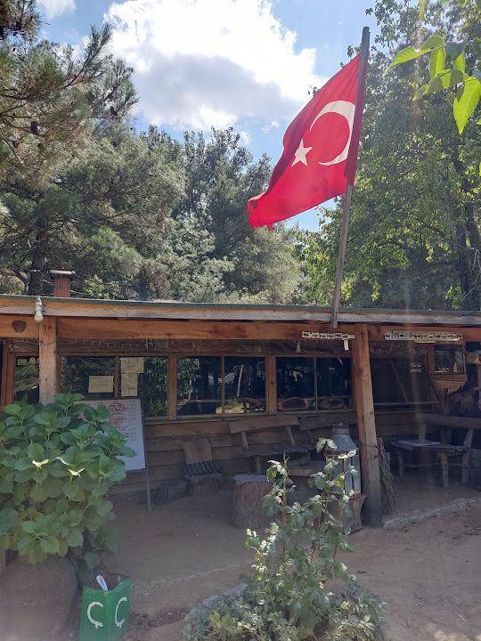 Yorum fotoğrafı 4