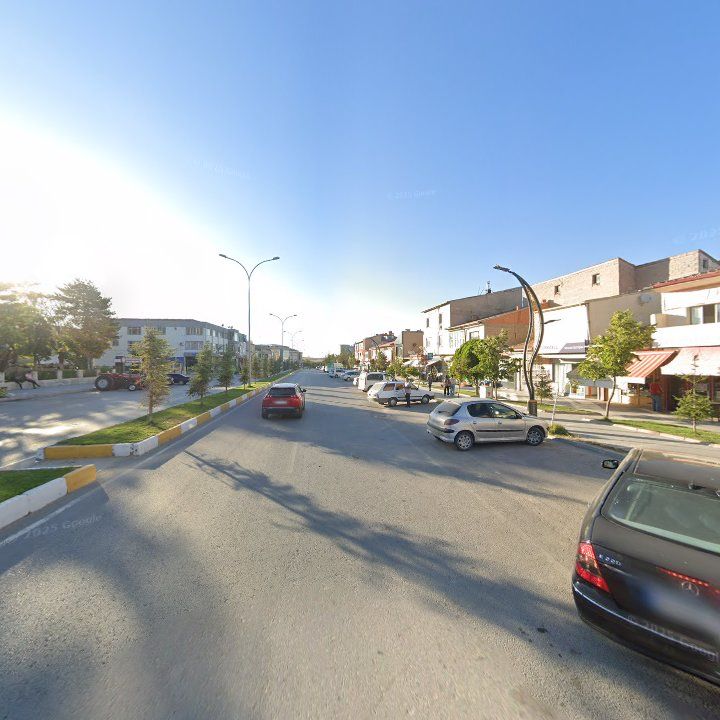 Fotoğraf 7