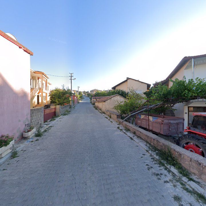 Fotoğraf 9