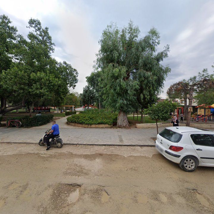 Fotoğraf 6