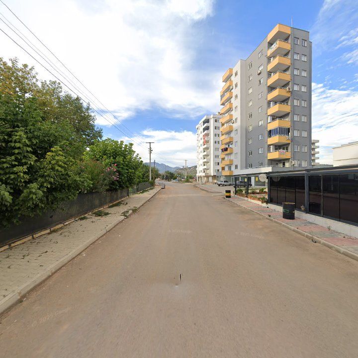 Fotoğraf 9